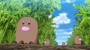 Pokémon Jak zabráníš tomu, aby ti zničili farmu?