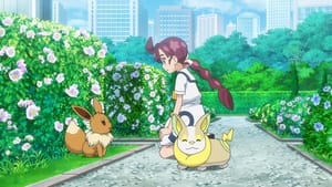Pokémon Trénovat a nebo netrénovat!