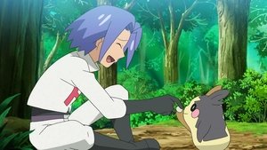 Pokémon Zbavte nás zloděje! Prosím!