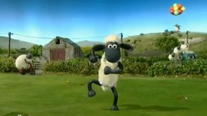 Ovečka Shaun 5. epizoda