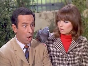 Get Smart 22. epizoda