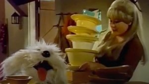 The Muppet Show 3. epizoda