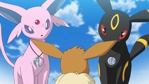 Pokémon Dnem i nocí, jste nejlepší!