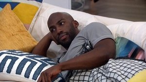 Big Brother 20. epizoda