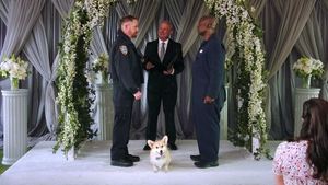 Brooklyn 99 Renewal