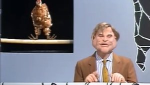 Les Guignols de l'info 22. epizoda