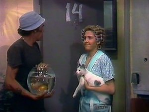 El Chavo del Ocho 15. epizoda