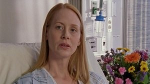 Scrubs: Doktůrci Můj přístup k pravidlům