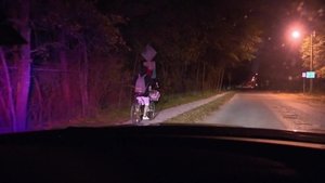 Cops 3. epizoda