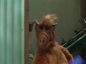 ALF Návštěva strýčka