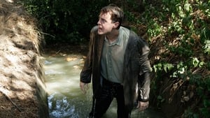 Námořní vyšetřovací služba Těžký zločin