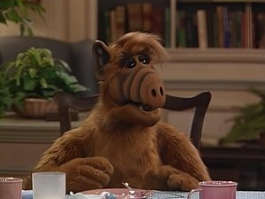 ALF Na vlastní pěst