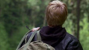 Heuréka – město divů Z masa a kostí