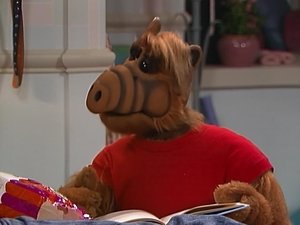 ALF Pro lásku všechno