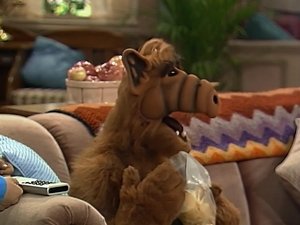ALF Alf detektivem