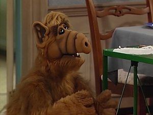 ALF Přítelkyně
