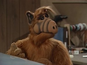 ALF Volejte mimozemšťana