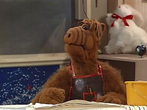 ALF Co dokáže láska?