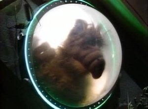 ALF 1. epizoda