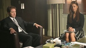 Kauzy z Bostonu Případy na hlavu