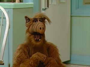 ALF Alf na divoko