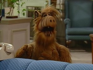ALF Hledá se otec