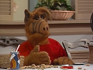 ALF Staré dobré časy