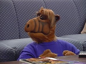 ALF Willie v podezření