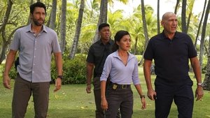 NCIS: Hawaiʻi 8. epizoda