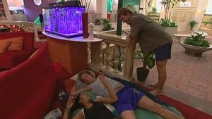 The Real World 9. epizoda