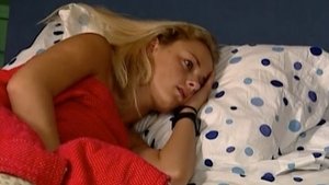 The Real World 14. epizoda