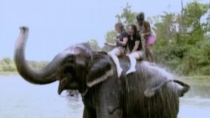 The Real World 10. epizoda