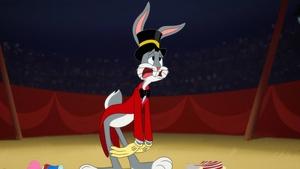 Looney Tunes: Animáky 1. epizoda