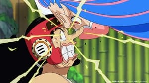 One Piece 1008. epizoda