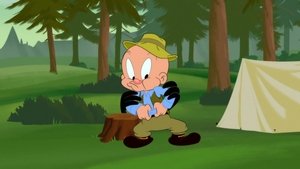 Looney Tunes: Animáky 4. epizoda