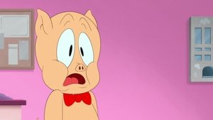 Looney Tunes: Animáky 13. epizoda