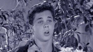 Leave It to Beaver 30. epizoda