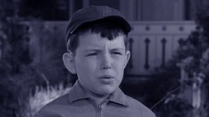 Leave It to Beaver 23. epizoda
