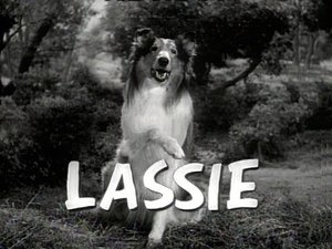 Lassie 5. epizoda