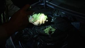 Cops 18. epizoda