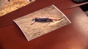 Odbor městské zeleně Pilotní díl