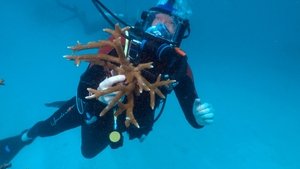 60 Minutes 2. epizoda