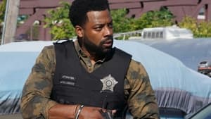 Policie Chicago 4. epizoda