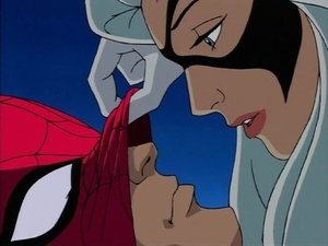 Spiderman Černá Kočka