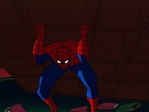 Spiderman Kočka