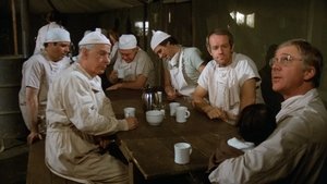 M*A*S*H 38 vodorovně