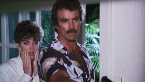 Magnum Vítr Kona