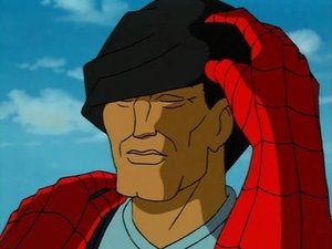 Spiderman Vinen