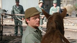 M*A*S*H Plukovníkův kůň