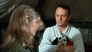 M*A*S*H Žhavé rty a prázdná náruč